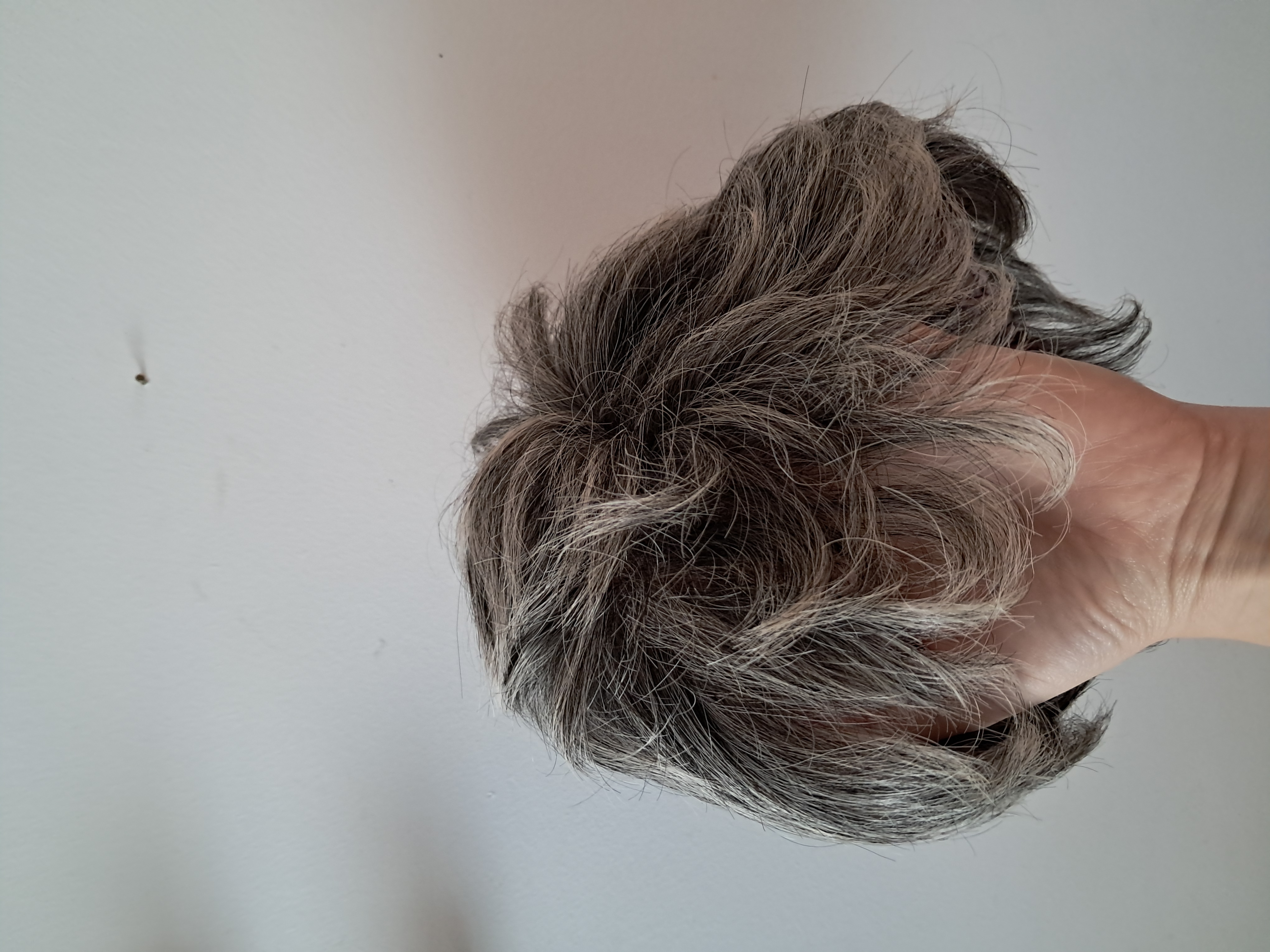 Annonce perruque_123